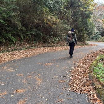 しばらくアス道歩き🚶‍♀️