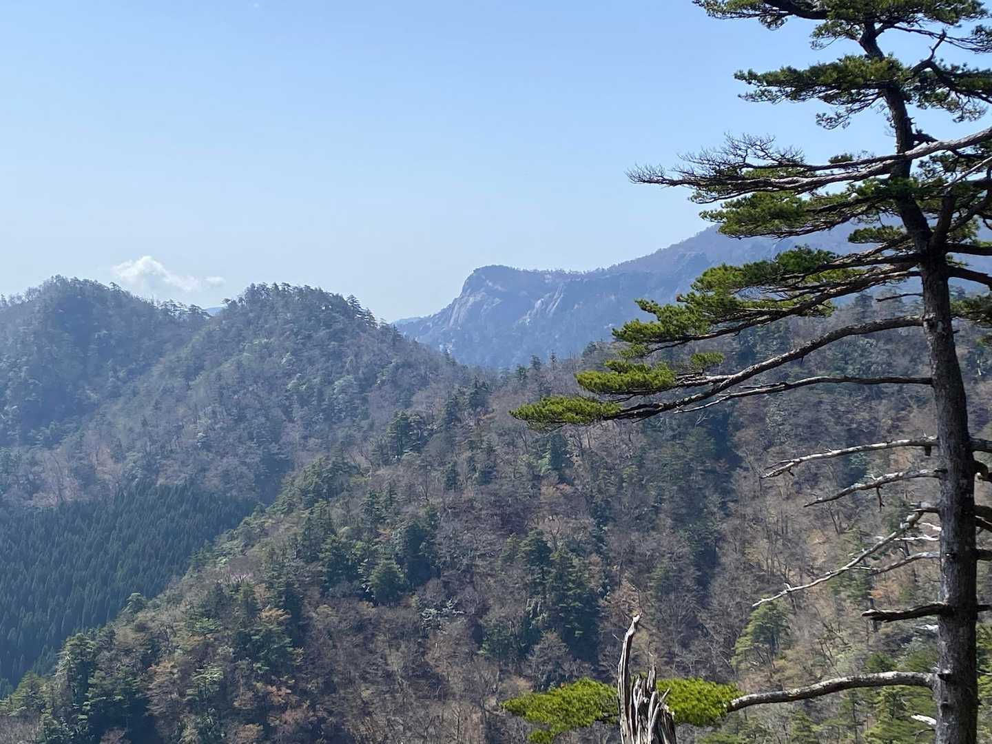 奥には大崩山の坊主岩が🪨✨