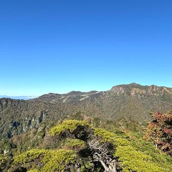 川場谷野営場コースから1時間ほど登ってくると見えてきた武尊山⛰️
👩‍🎓武尊山とは：前武尊、剣ヶ峰、家ノ串、中ノ岳、沖武尊（主峰）、西武尊（剣ヶ峰山）、獅子ヶ鼻山と、7座の2000m級の峰頭を連ねる総称