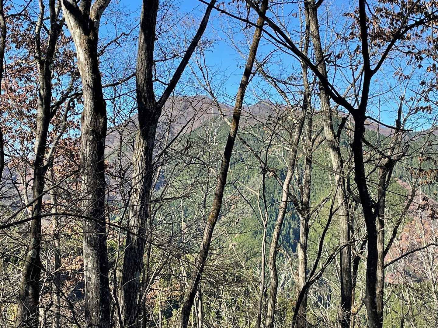 三頭山と思われるので、カバー写真に😁