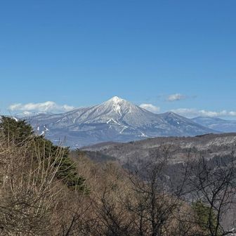戻ってきました。