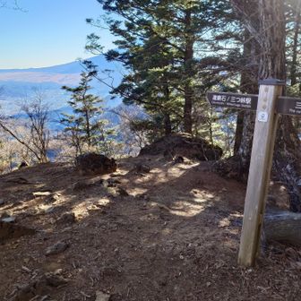 このあたりでトラバース道が終わり一気にくだっていきます