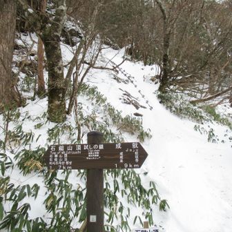 この辺りで暑さピーク💦