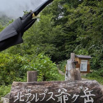 週末の天気予報が悪いので、いつも争奪戦が起きる駐車場だけど今日はガラガラ　
見上げる山は真っ白だけど、いつでも引き返すつもりでスタート🙄