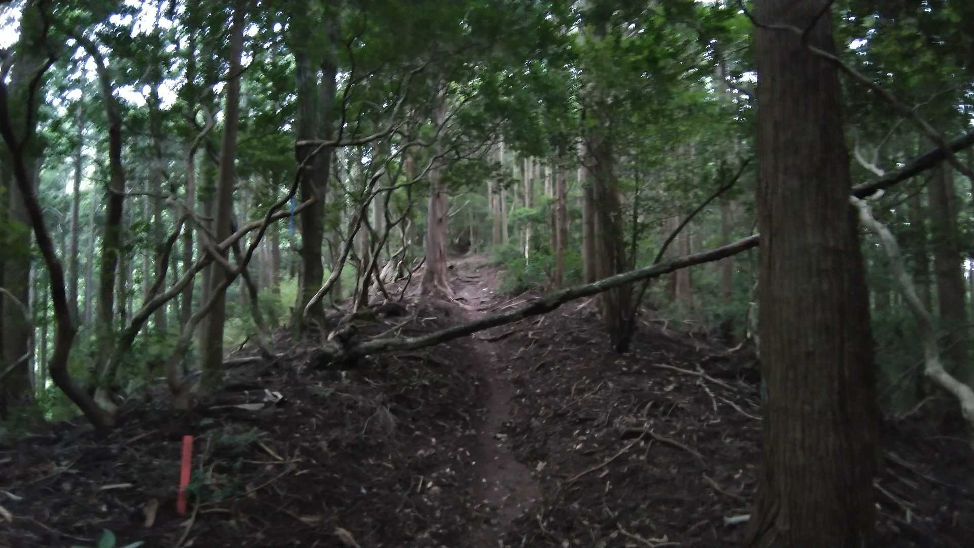 景色なくもくもくと階段😑💦ブーン