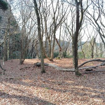 ここが城跡なんだって