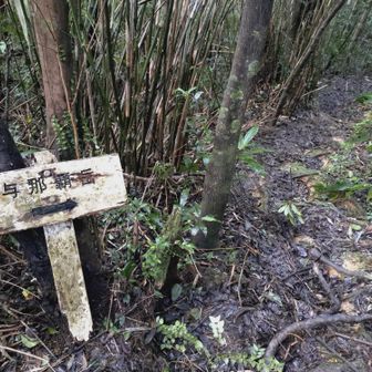 山頂まで75ｍのところで大きく下る