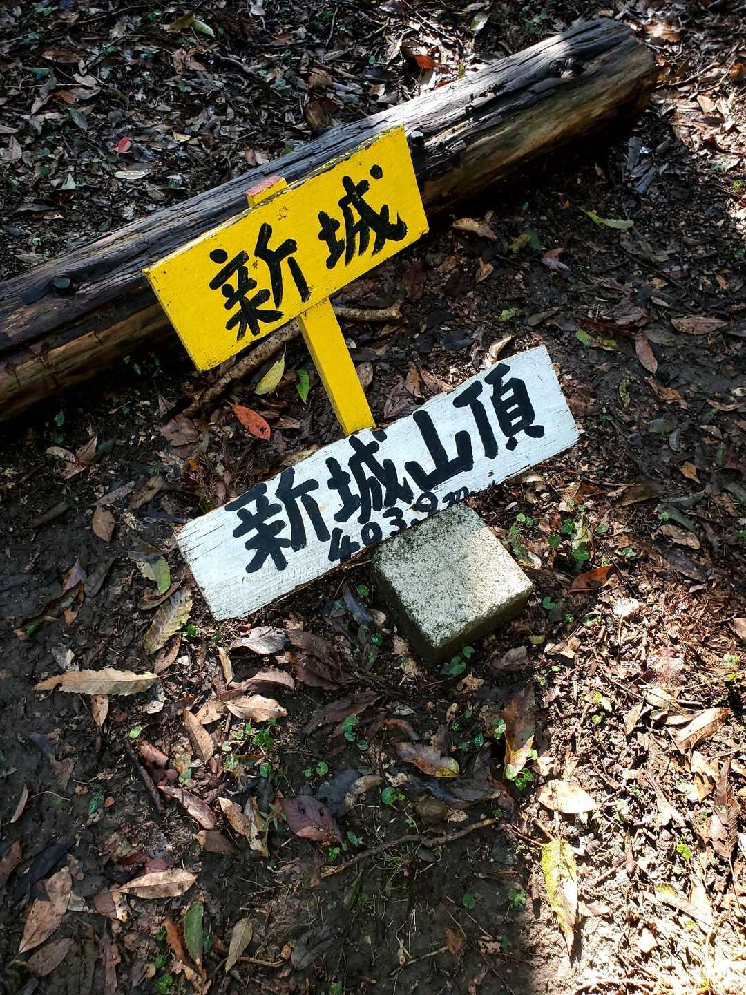 ほどなく山頂到着