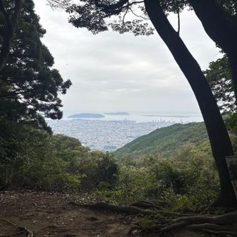 ちょっと景色🤏