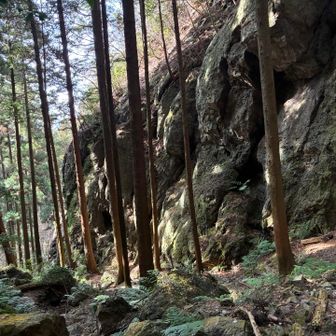 赤岩山までの岩場コースは今回巻いて、一旦滝コースへ降ります。