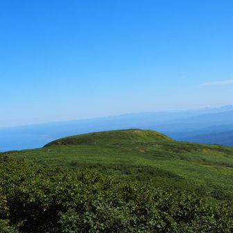 海も良いっす