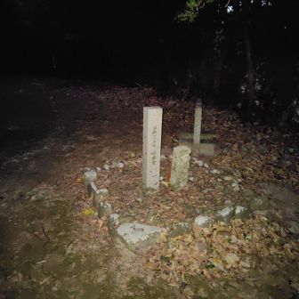 まだ暗いが王子を廻ります