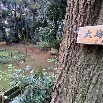 山頂
八王子名山です