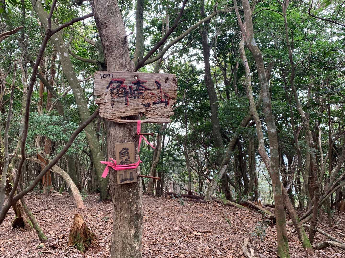 とうちゃこ。
まずは角崎山。
時間は予定通り。