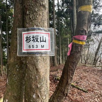 今日のミッション達成〜