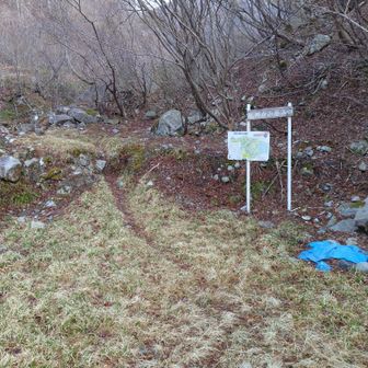 登山口まで4キロ位ロード