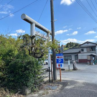 一周してきました