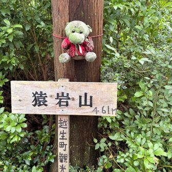 猿岩山
四寸道から少し外れたところにある山頂ですが、藪の中にあります