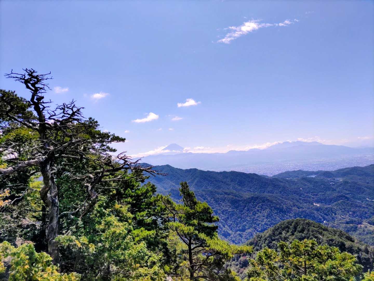 富士山またね👋