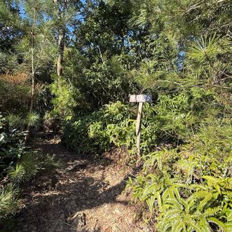 第三展望台からは