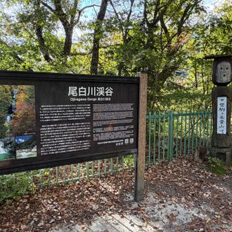 5月に日向山に来たぶりですね
