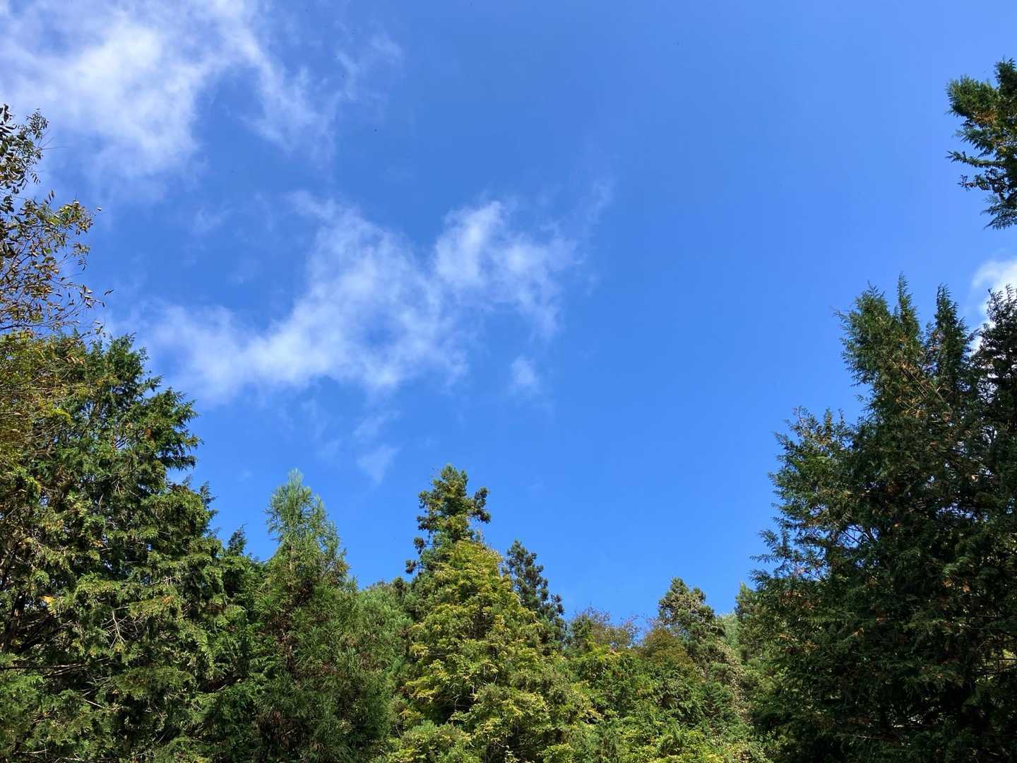 青空😅