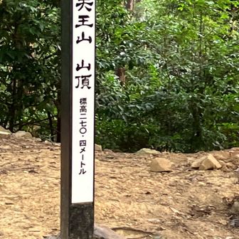 サントリー山より低いのになんか扱いが違う、別格です。