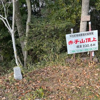 少し歩いて山頂！