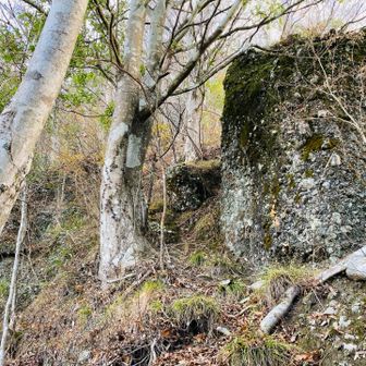 左りに巻き🚶‍♂️