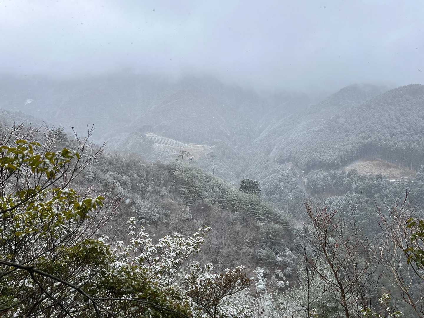 高見山登山口-高見峠-高見山 縦走コースの写真