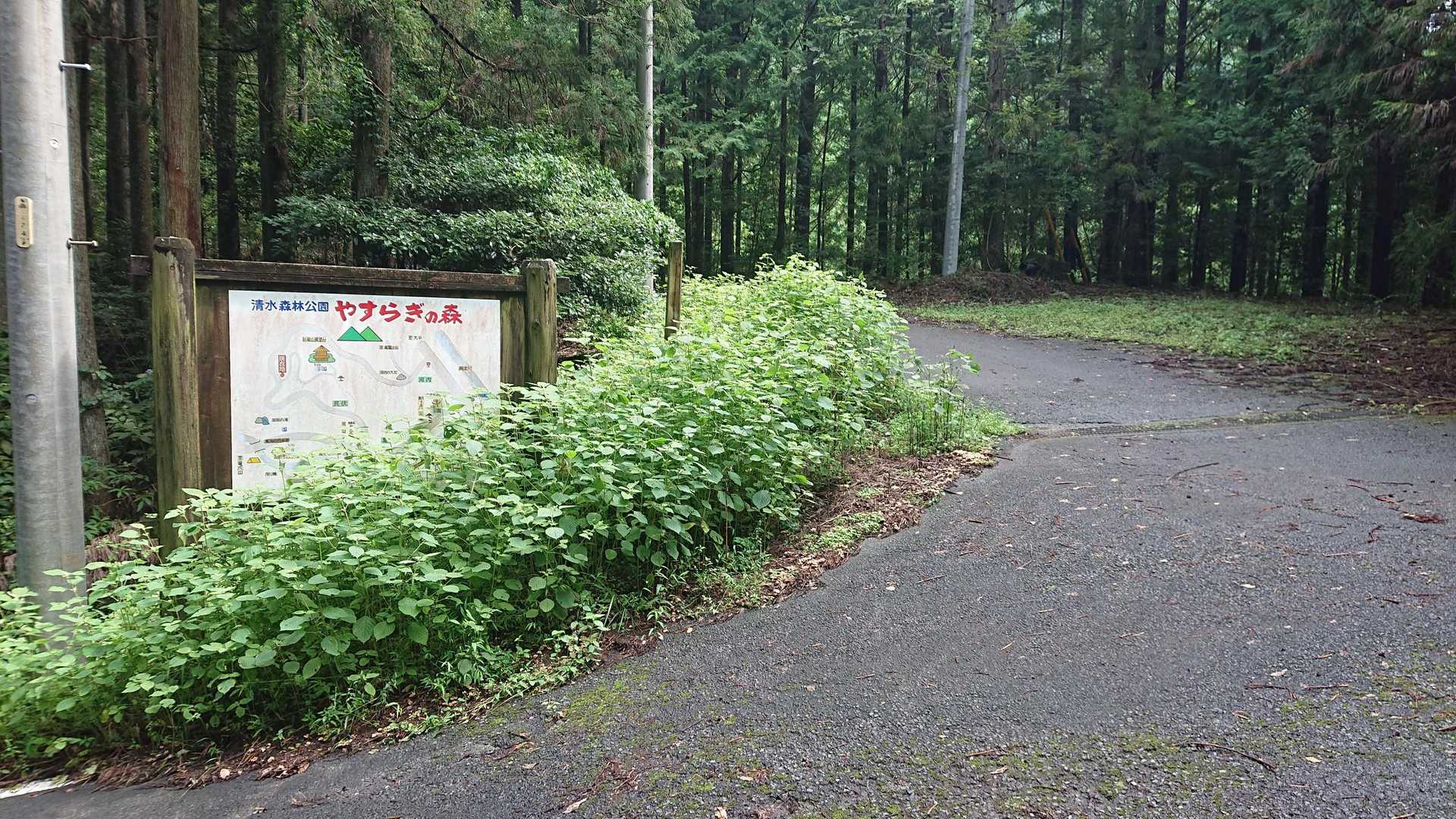 ここに出てきました💡