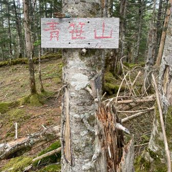 青笹山到着