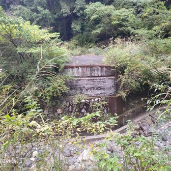 橋が無い・・・

左手にハシゴあり・・・
対岸の右手に、
作業員用の取っ手のハシゴあり