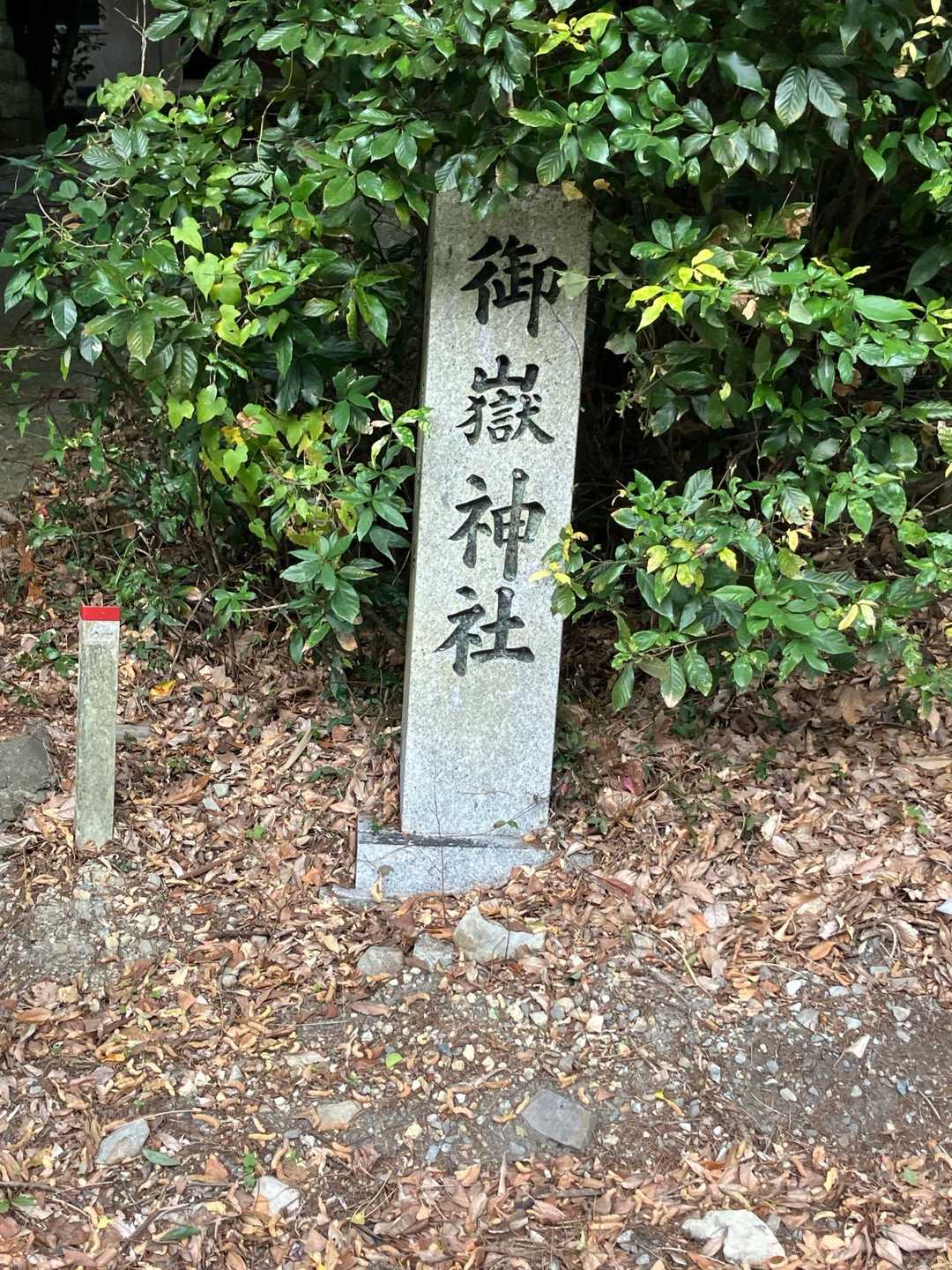 天円山 往復コースの写真