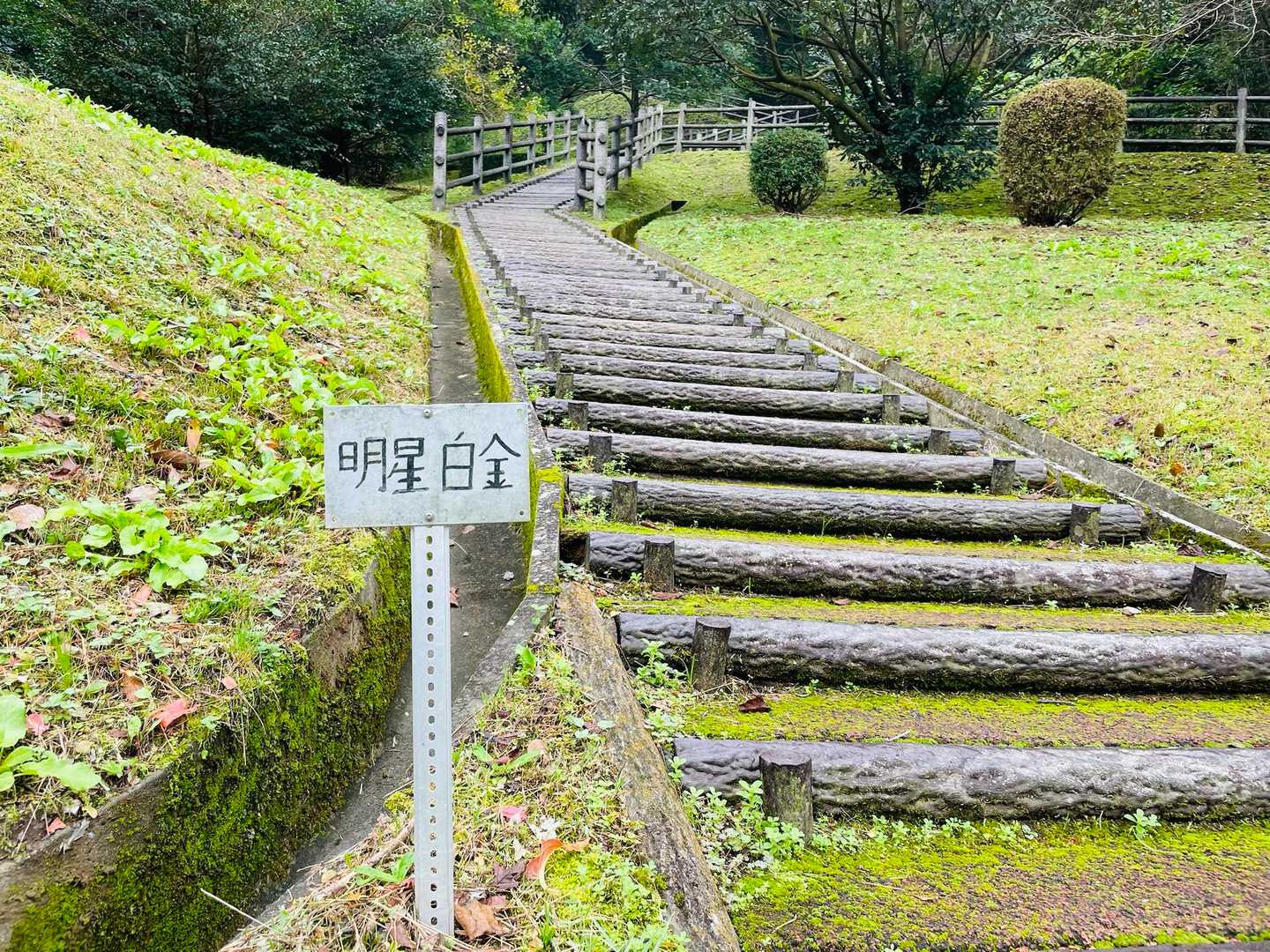 いざ、明星山へ⛰️