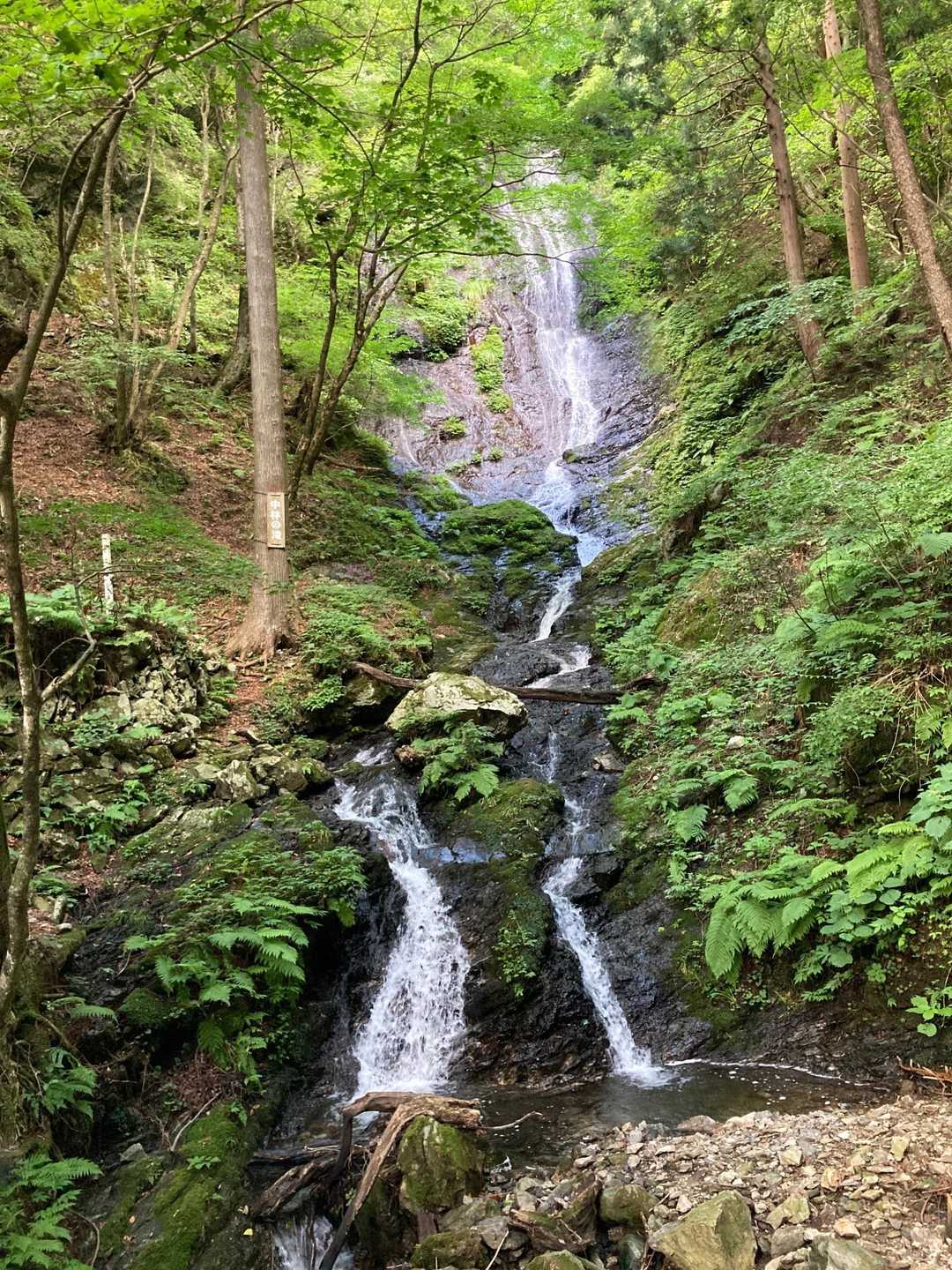井水山 周回コースの写真