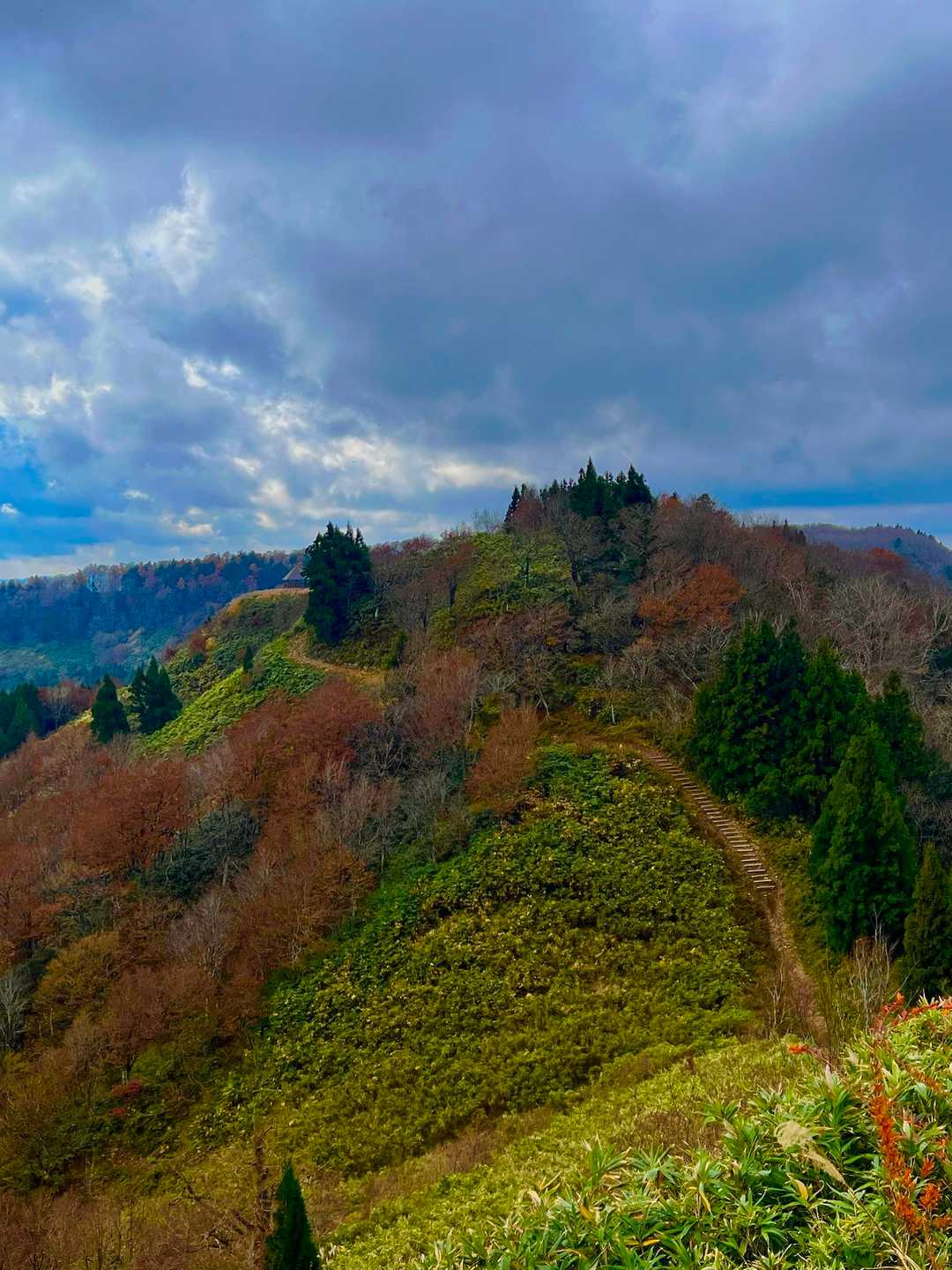 赤和瀬登山口-丸山登山口-丸山-ブナの谷頭-霧ヶ原-伯州山 周回コースの写真