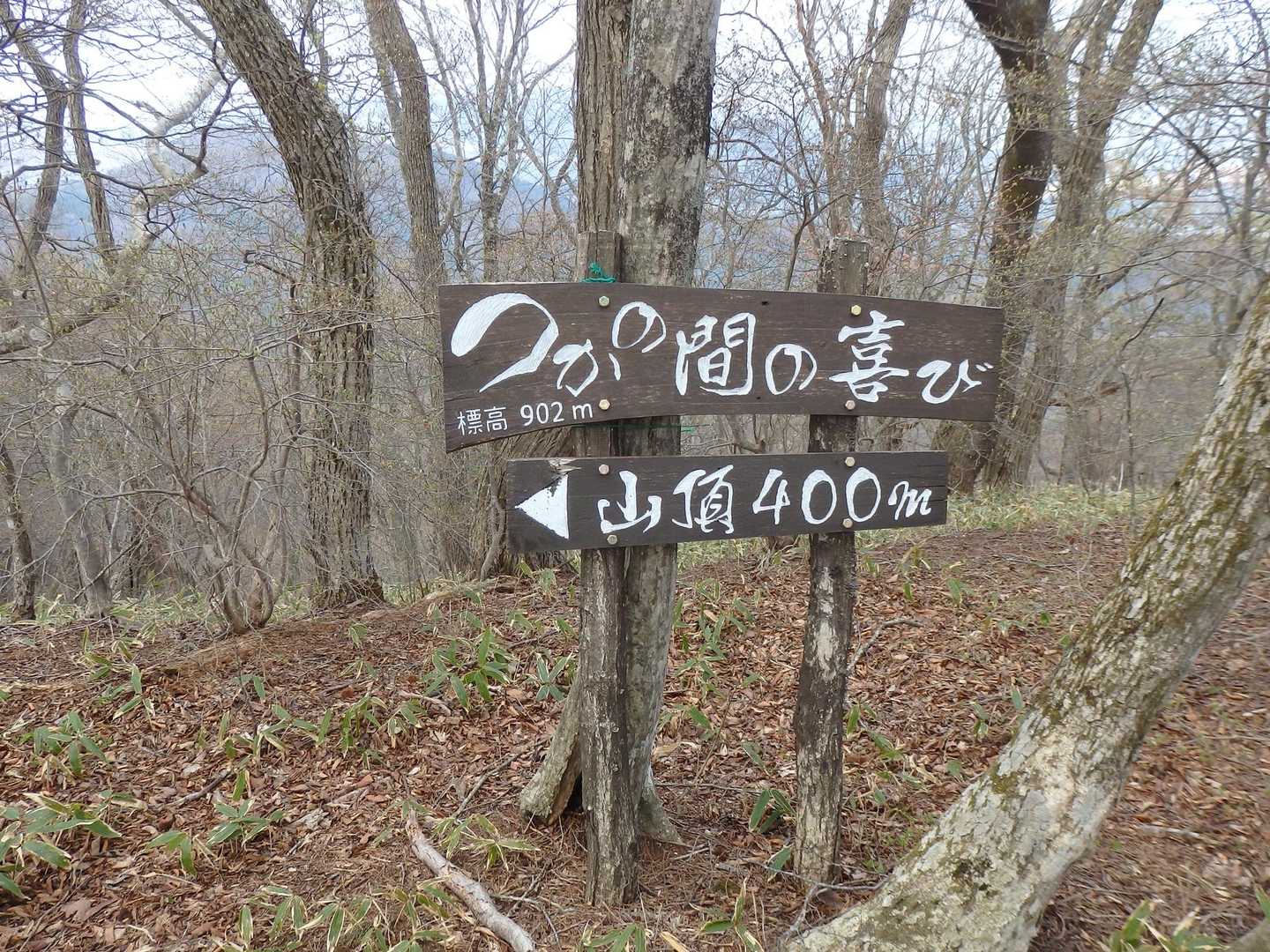 つかの間の喜び、、？🤔