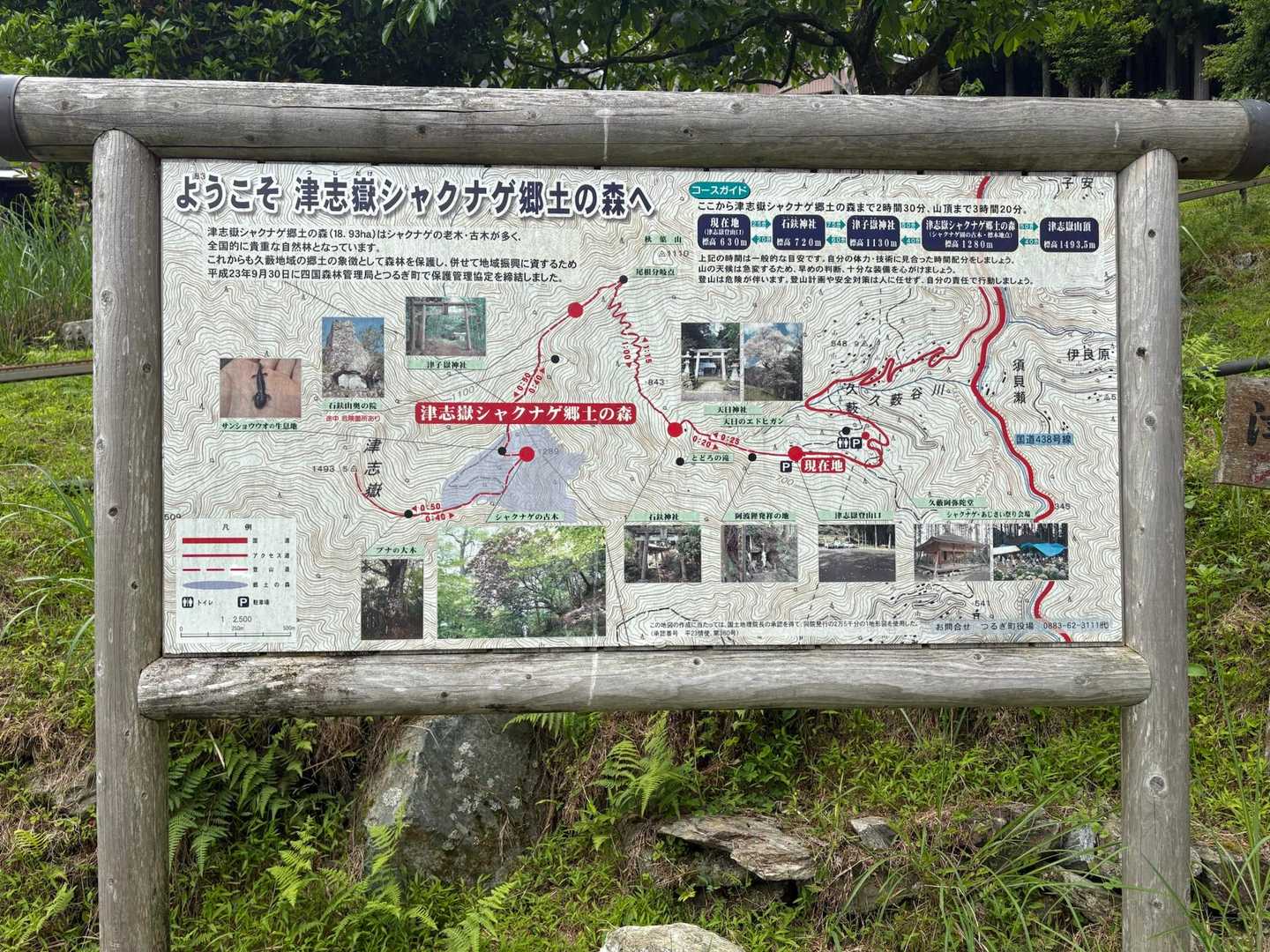 津志嶽の全容🤔
