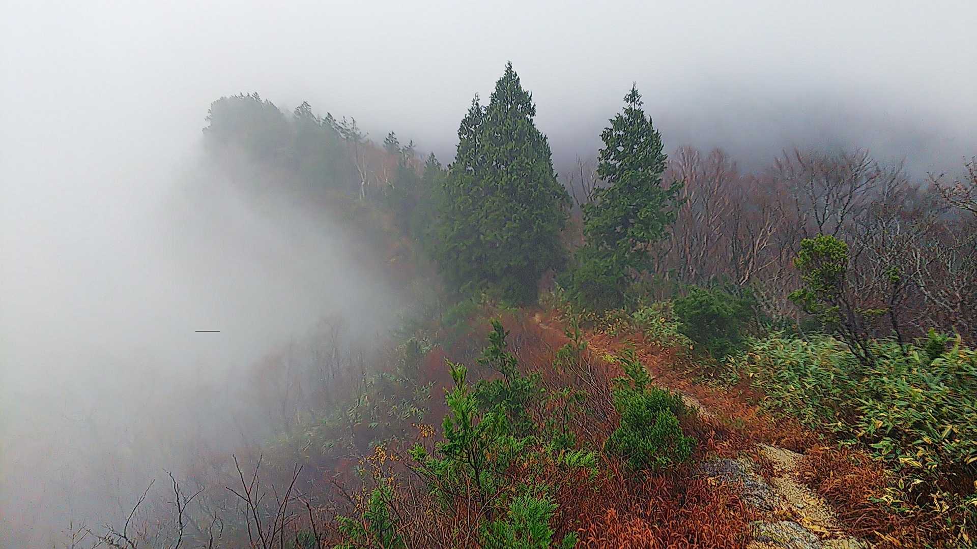 体感温度は丁度いい　雨は降ったりやんだり　さあ前へ