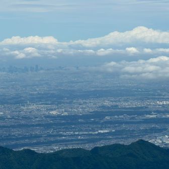 都心方向の展望は良き