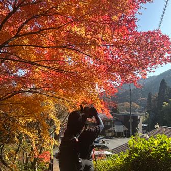 2人とも口では「早く行かなくちゃ」って言ってるのに紅葉トラップに引っかかる😆