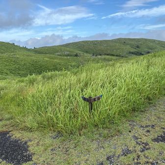 この分岐は北山へと向かう。