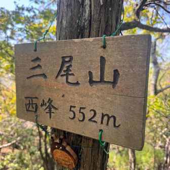 西峰到着