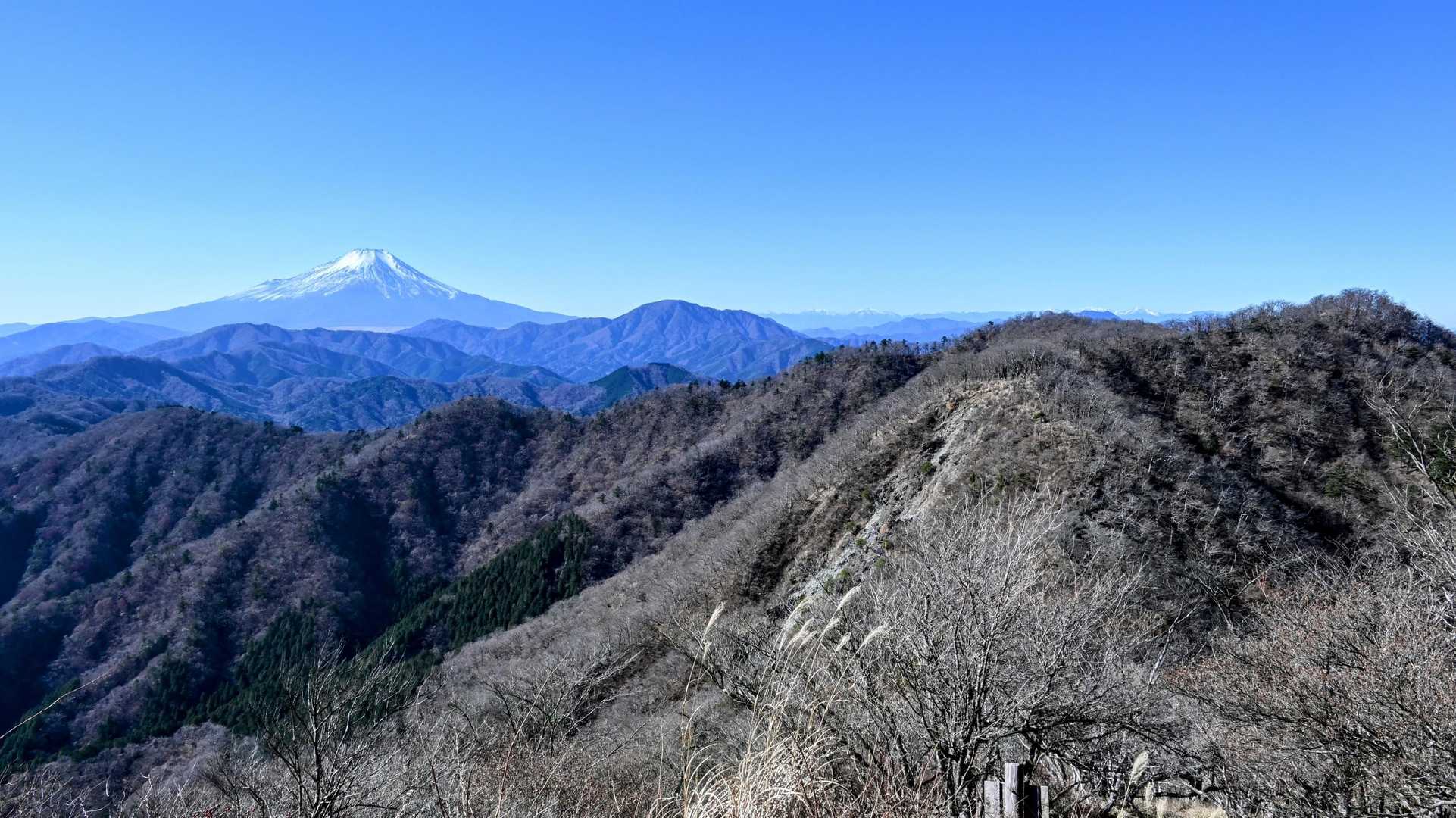 加入道山-大室山 往復コースの写真