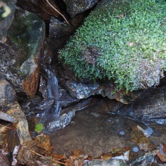 二つ目の水場共に岩陰で狭く汲みにくいので、(小さなカップを押し込めるか？程度の高さしかない）