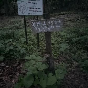 登山口。