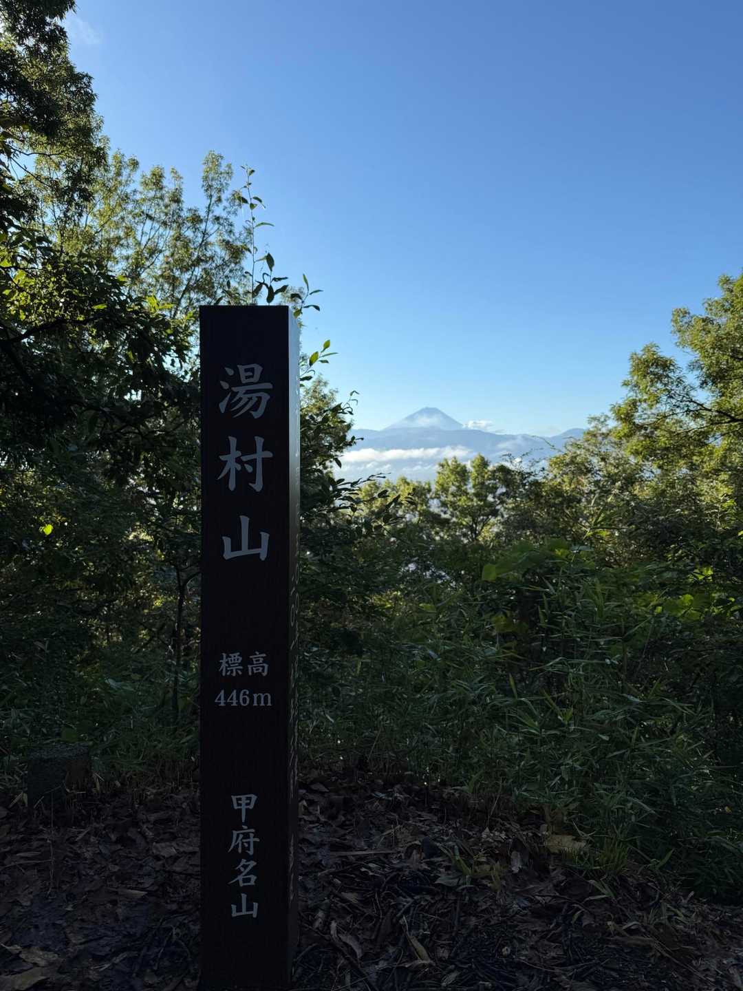 八王子山往復 | 街から歩ける白い巨岩の特等席、甲府盆地と富士山を見下ろす開放感の写真