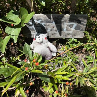 登山口のくまモン撮り忘れてたので