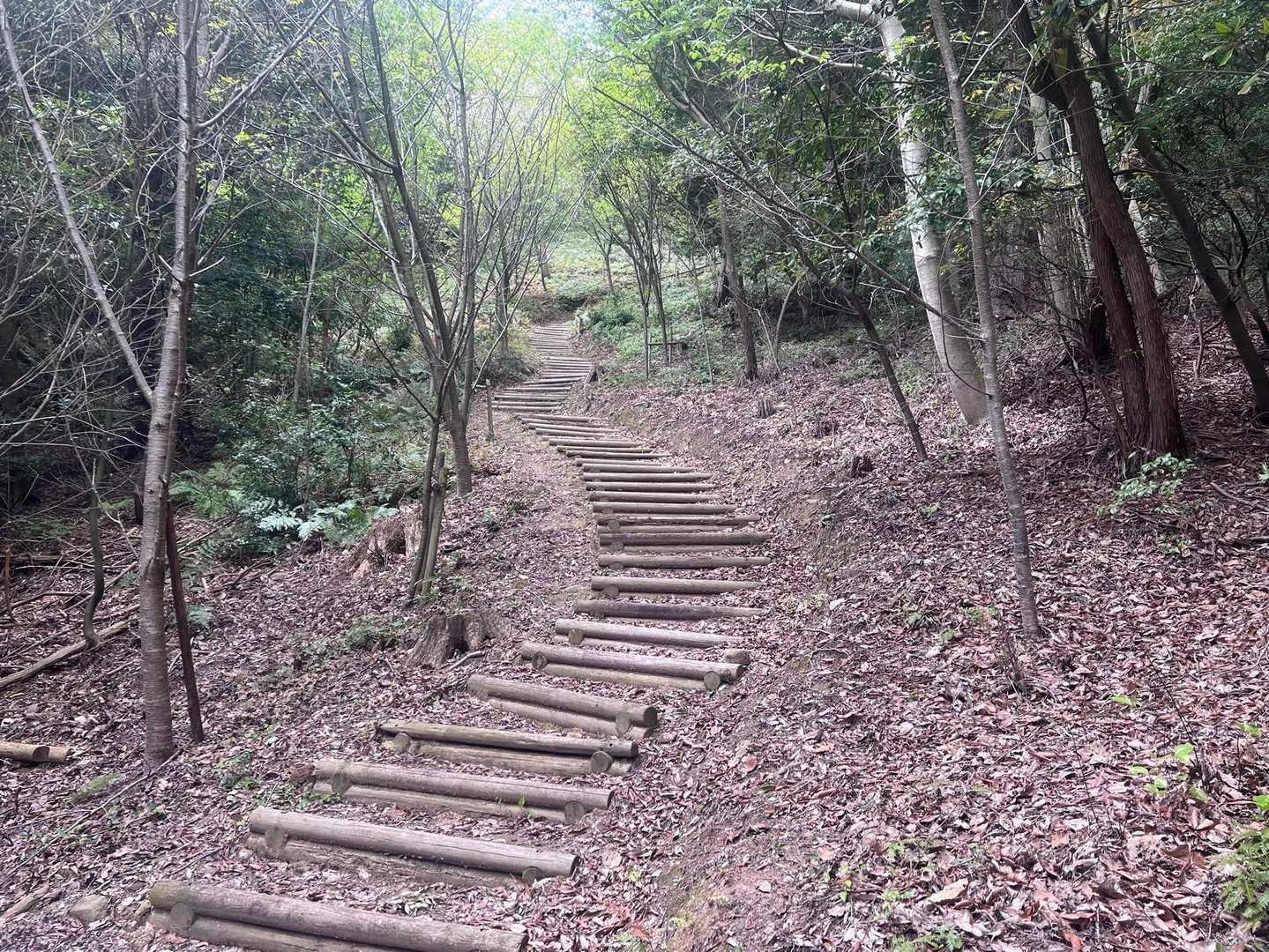落ち着いた良い雰囲気